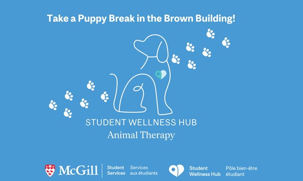 Animal Therapy