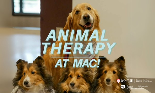 Animal Therapy @Macdonald Campus