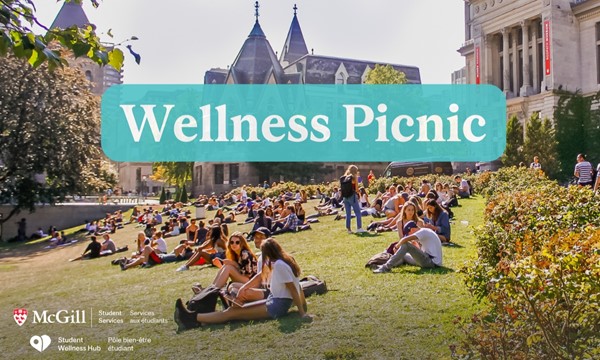 The Wellness Picnic