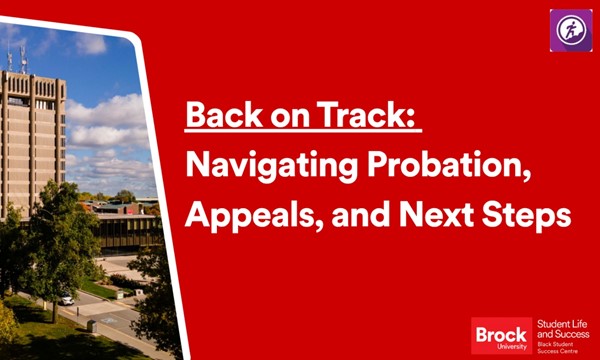 Back on Track:  Navigating Probation, Appeals, and Next Steps