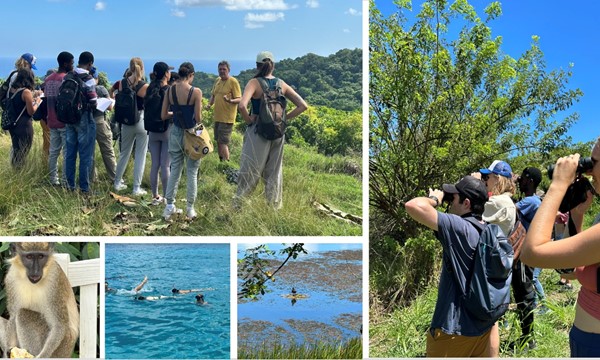 McGill Barbados Field Study Semester Info Session