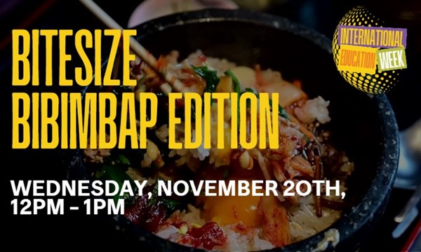 Bitesize Bibimbap Edition