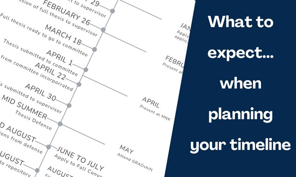 What to expect... when planning your timeline