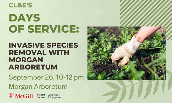  Invasive Species Removal with the Morgan Arboretum