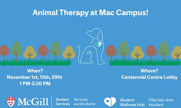 Animal Therapy at Mac Campus