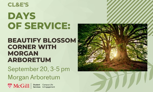 Beautify Blossom Corner at the Morgan Arboretum