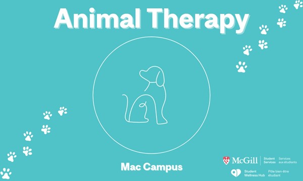 Animal Therapy at Mac Campus