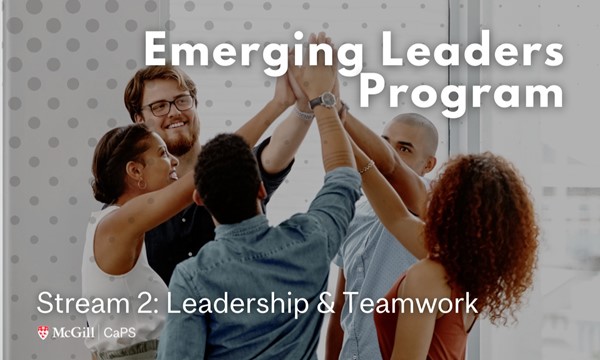 Emerging Leaders STREAM 2 - Teamwork, Leadership and Professionalism