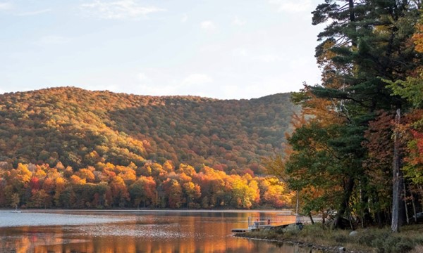 Day Trips to the Gault Nature Reserve