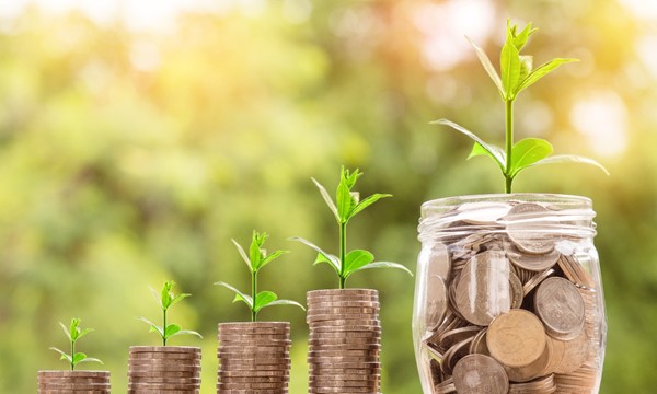 Investing and Taxation