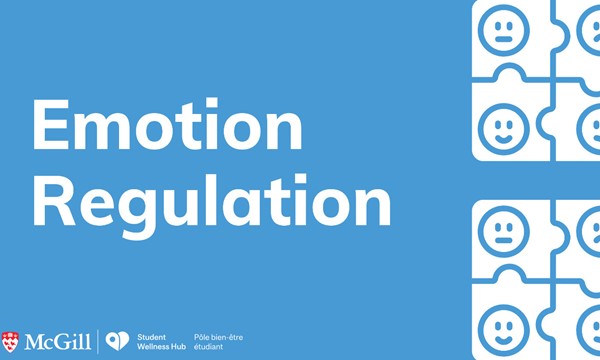 DBT Skills-Emotion Regulation