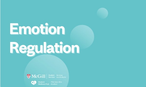 DBT Skills - Emotion Regulation