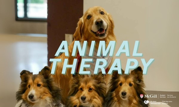 Animal Therapy-Downtown Campus