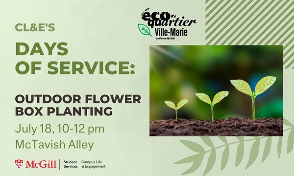 Outdoor Flower Box Planting