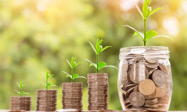 Advisors and Financial Planning