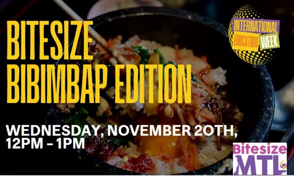 Bitesize Bibimbap Edition