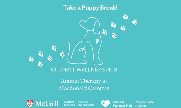 Animal Therapy at Mac Campus