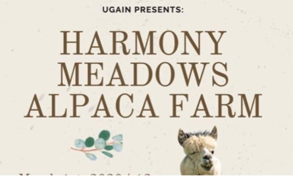 Harmony Meadows Alpaca