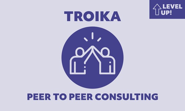 TROIKA peer to peer consulting