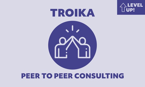  TROIKA peer to peer consulting