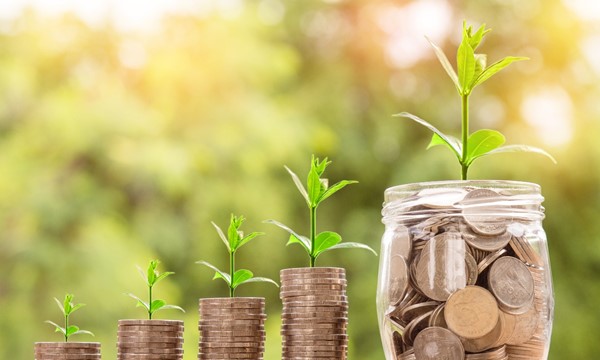 Advisors and Financial Planning