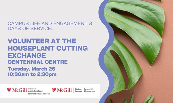 Houseplant Cutting Exchange