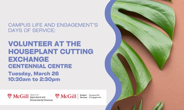  Houseplant Cutting Exchange