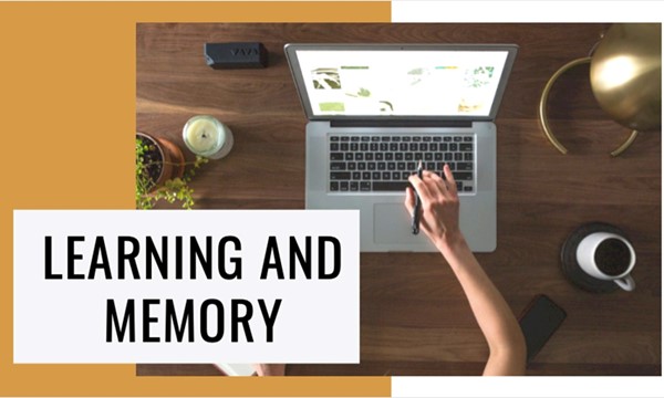 Learning and Memory