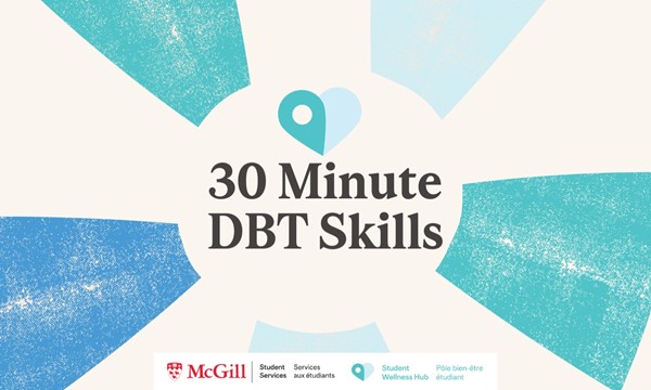 30min DBT Skills Part 1 WISE MIND