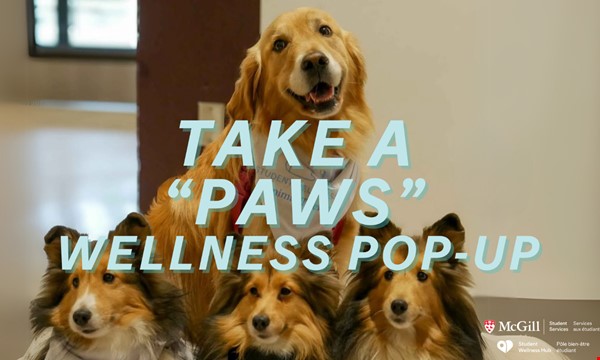 Animal Therapy Pop-Up Downtown Campus