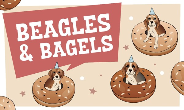  Beagles and Bagels  A Study Party Staple
