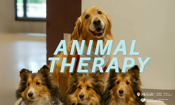Animal Therapy-Downtown Campus