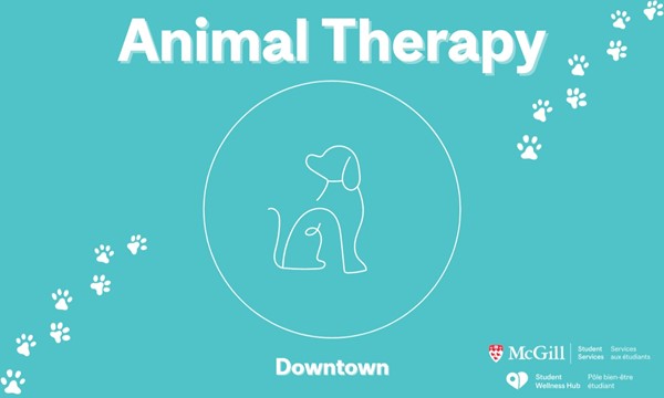 Animal Therapy