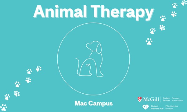 Animal Therapy @ Macdonald Campus