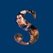 Sheridan Fighting Game Club (Trafalgar) Profile Picture